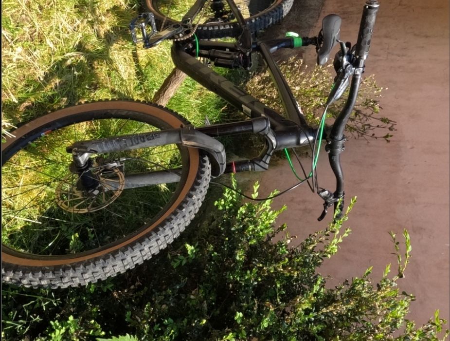 Trek remedy 8 2021