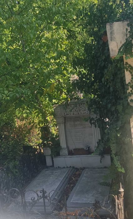 Concesionez loc de veci la Bellu pe aleea Artistilor