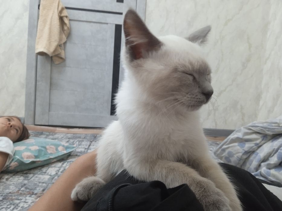 Розыск помогите найти