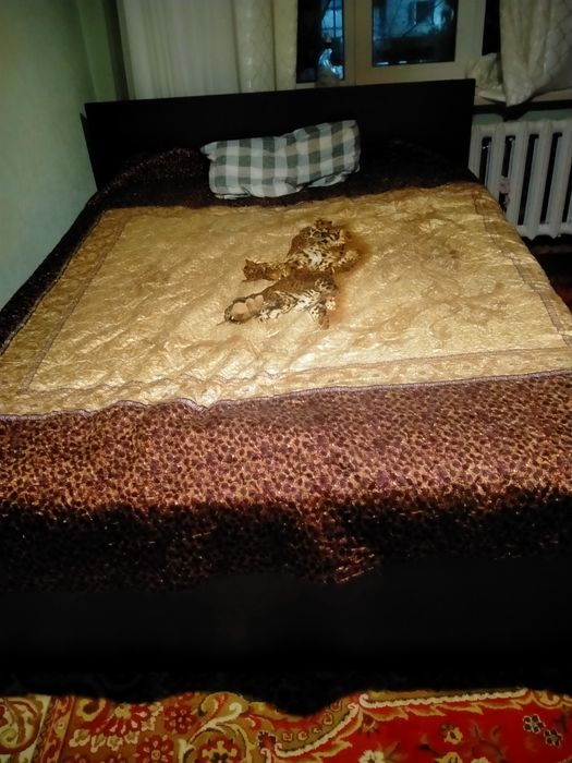 Двухспальная кровать с ортопедическим матрасом