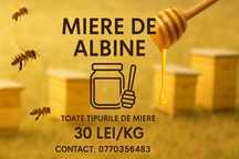 Miere de albine 100% naturală – Direct de la apicultor