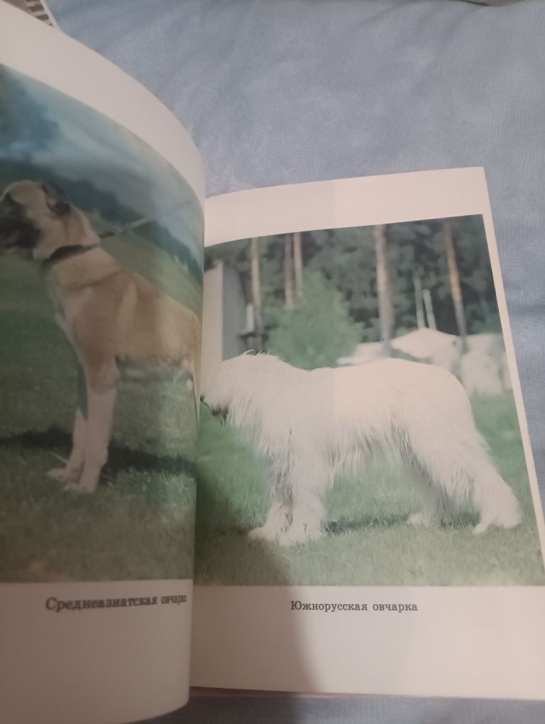 Воспитание щенка издание СССР