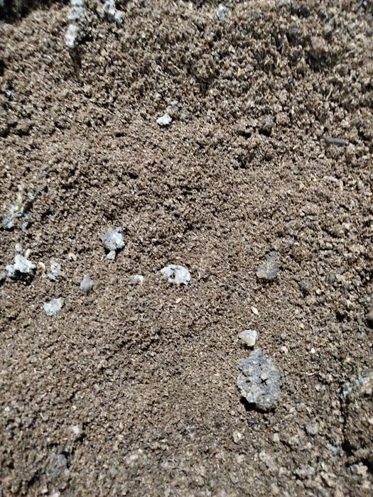 ЗООГУМОС. Органичекий продукт