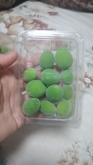 Довча свежий ва музлатилган