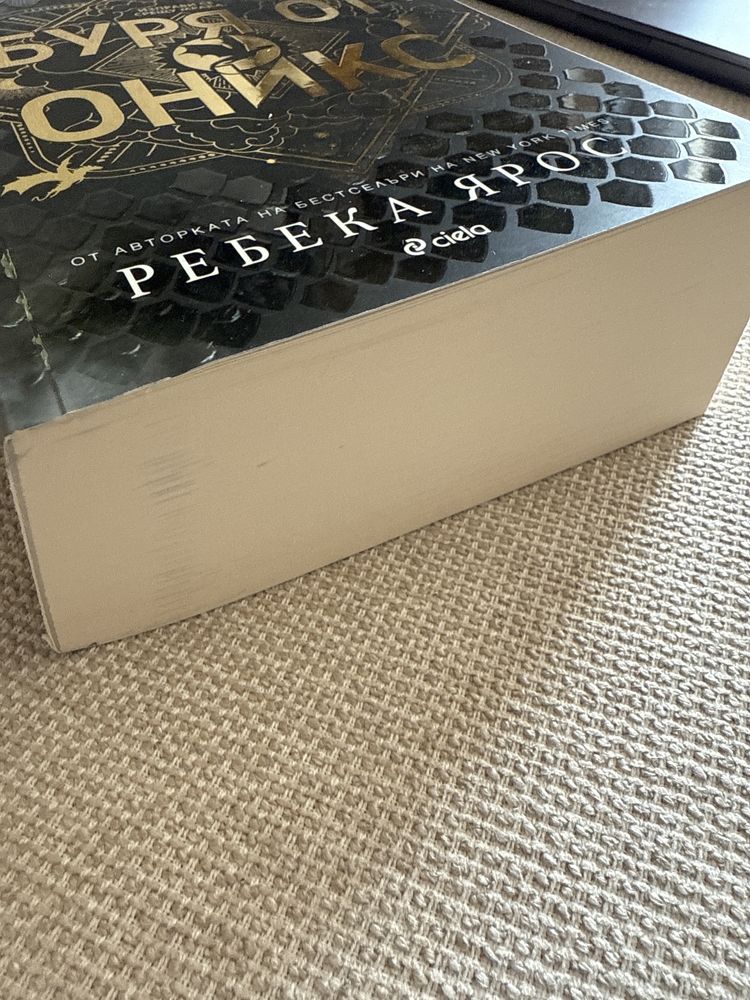 Буря от оникс - Ребека Ярос
