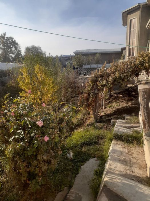 Ер участка сотилади мохи хосса