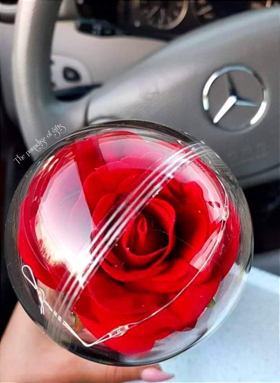Вечна роза в стъкленица с лампички