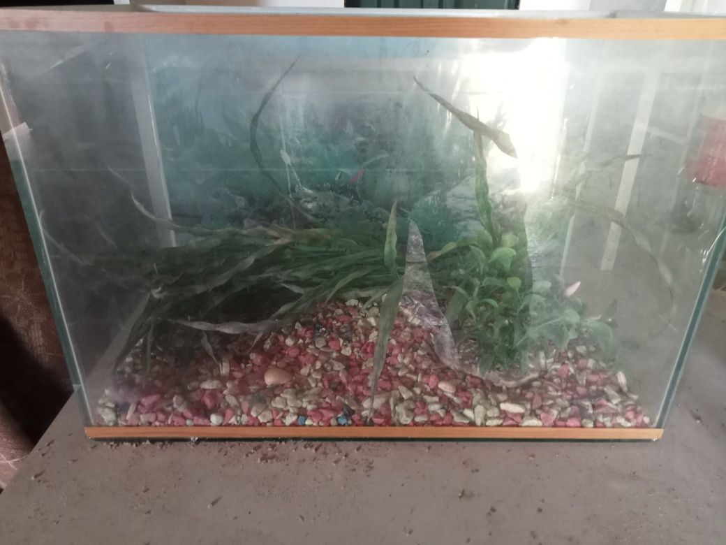 Продам аквариум 20 литров