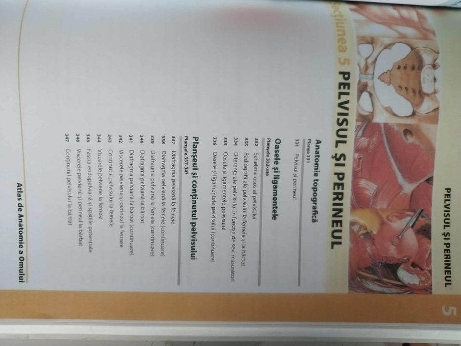 Atlas Netter medicina