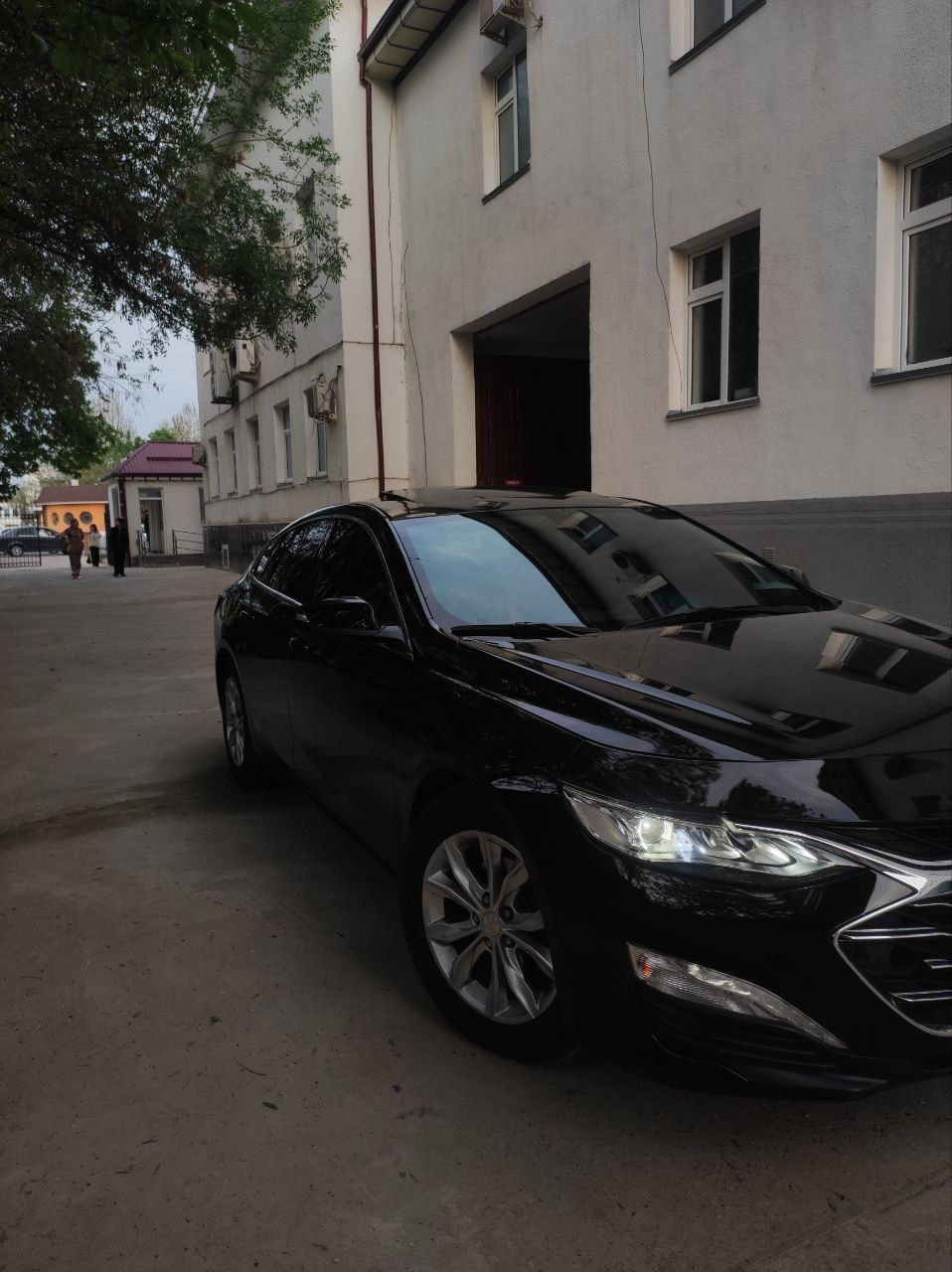 Malibu 2022 Primer ARENDA VIKUP 7000 Blan