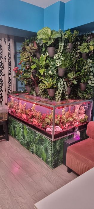 Urgent plante acvariu ,filtre ,lampe Chihiros..etc