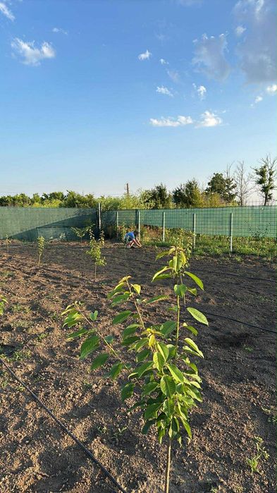 Teren intravilan comuna Gemenele