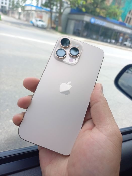 iPhone 16 Pro Max 256 100%