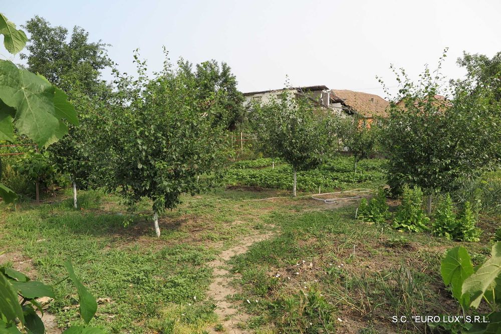 Casa - Vladimirescu, pe soseaua principala