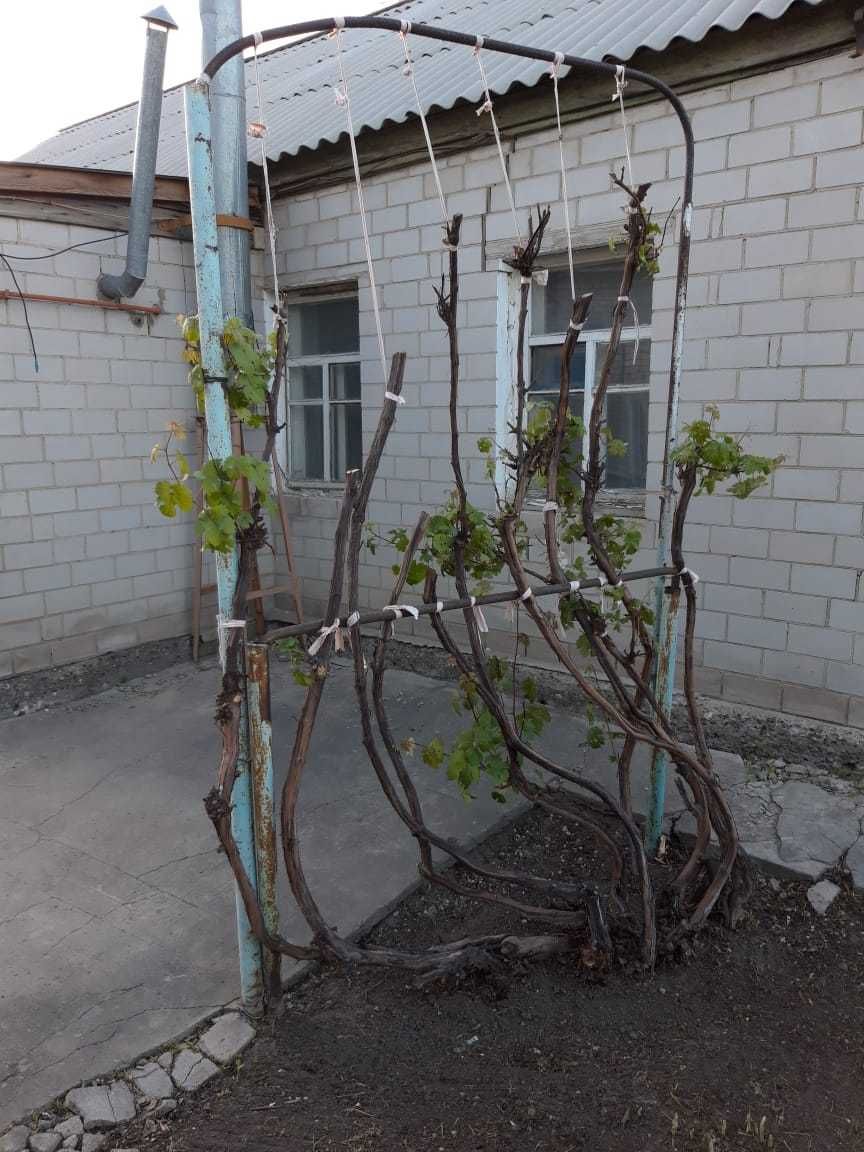 Продам дом в р Курмыш по ул Кулумбетова/ ул Кунаева