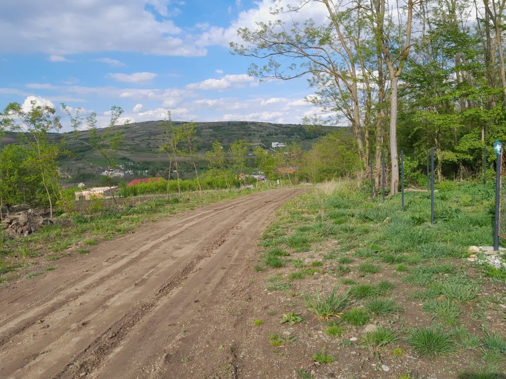 Teren intravilan sat Pata Cluj