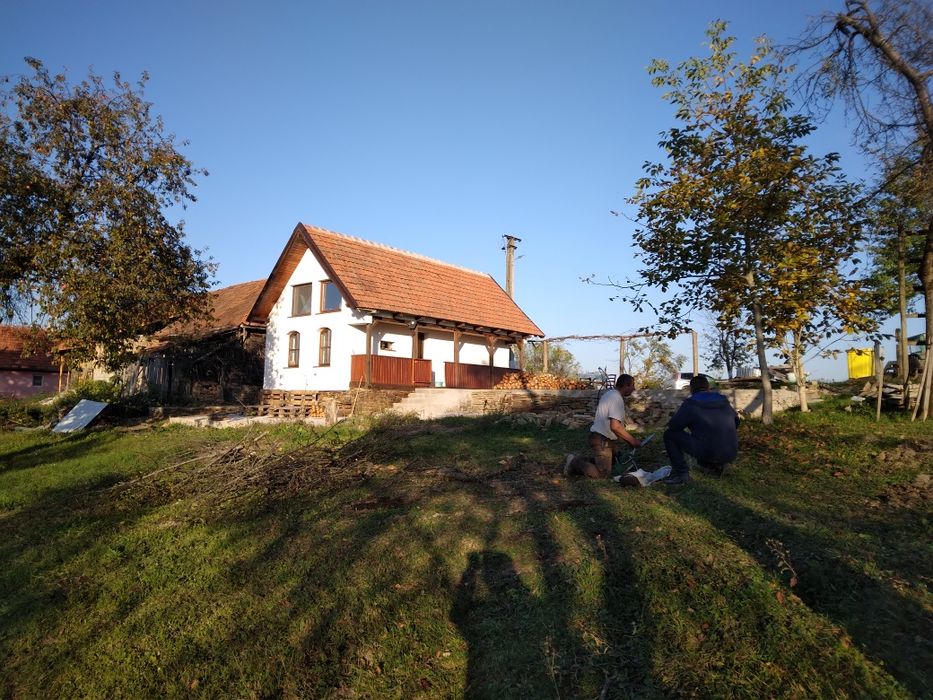 Vand casa la munte, in Dulcele, com. Gurahont, jud. Arad