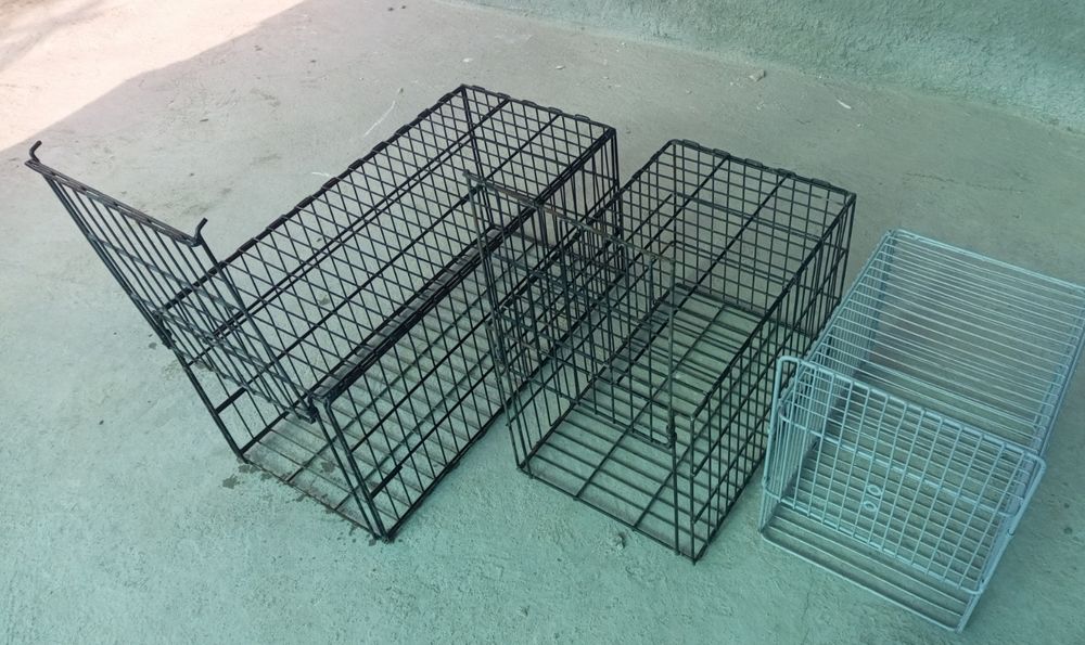 Qopqon tulki mishiq chiyaburi uchun