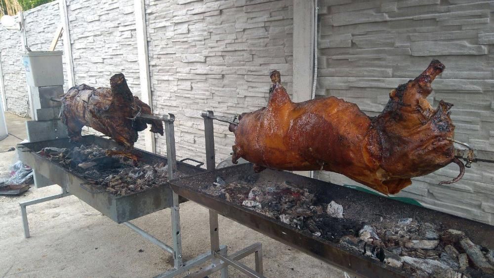 Rotisor protap profesional din inox