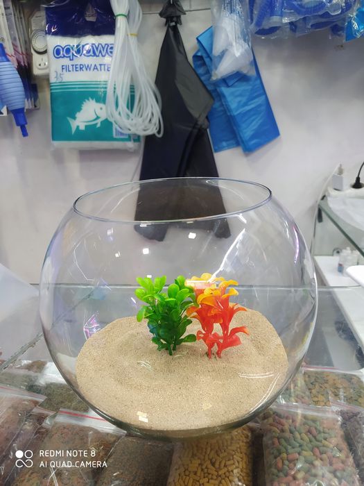 Dumaloq Akvarium New