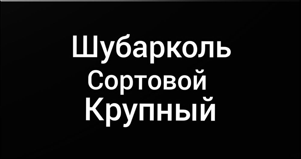 Уголь Шубарколь Крупный