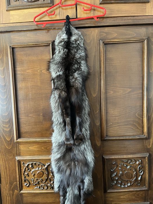 Vulpe Argintie naturala