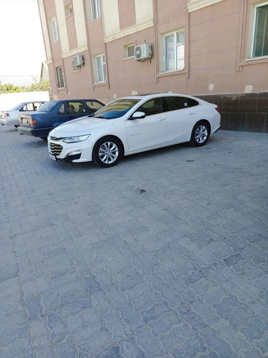 Molibu 2 Yili 2019 yurgani 49500