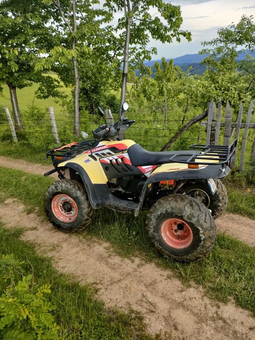 ATV Linhai.4*4 inmatriculat