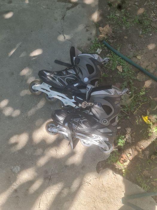 Role fila pentru adult