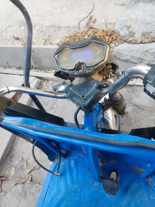 Skuter tokli 1 tonalik