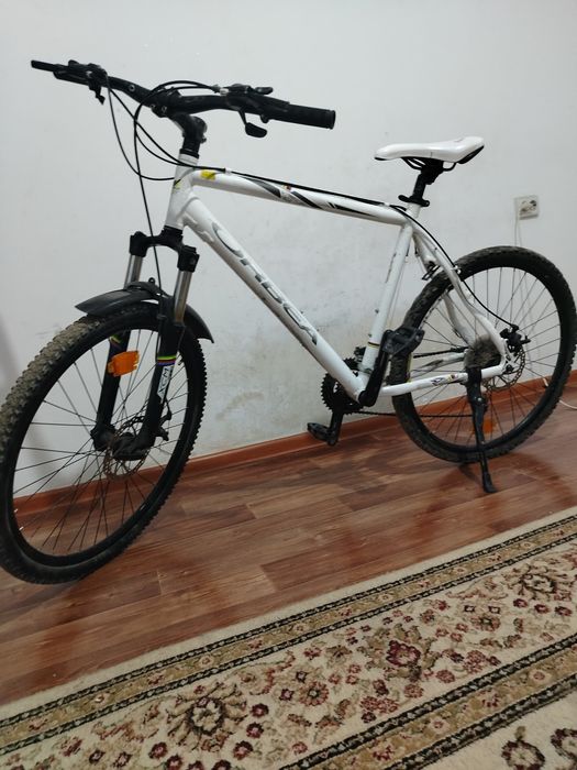 Велик хароши и быстри