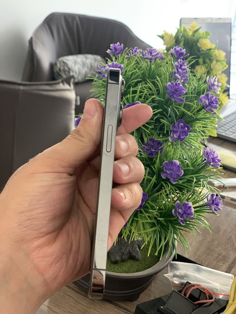 iPhone 13 Pro ( Graphite )
