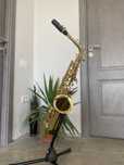 Saxofon Stagg WS AS 215