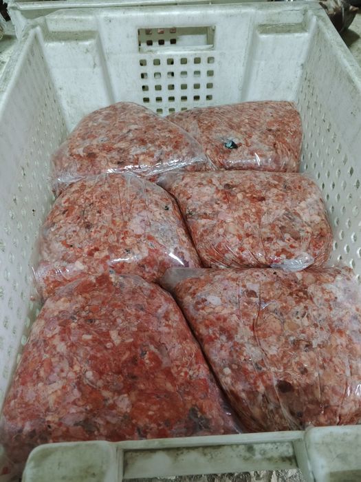 Фарш для собак мясо