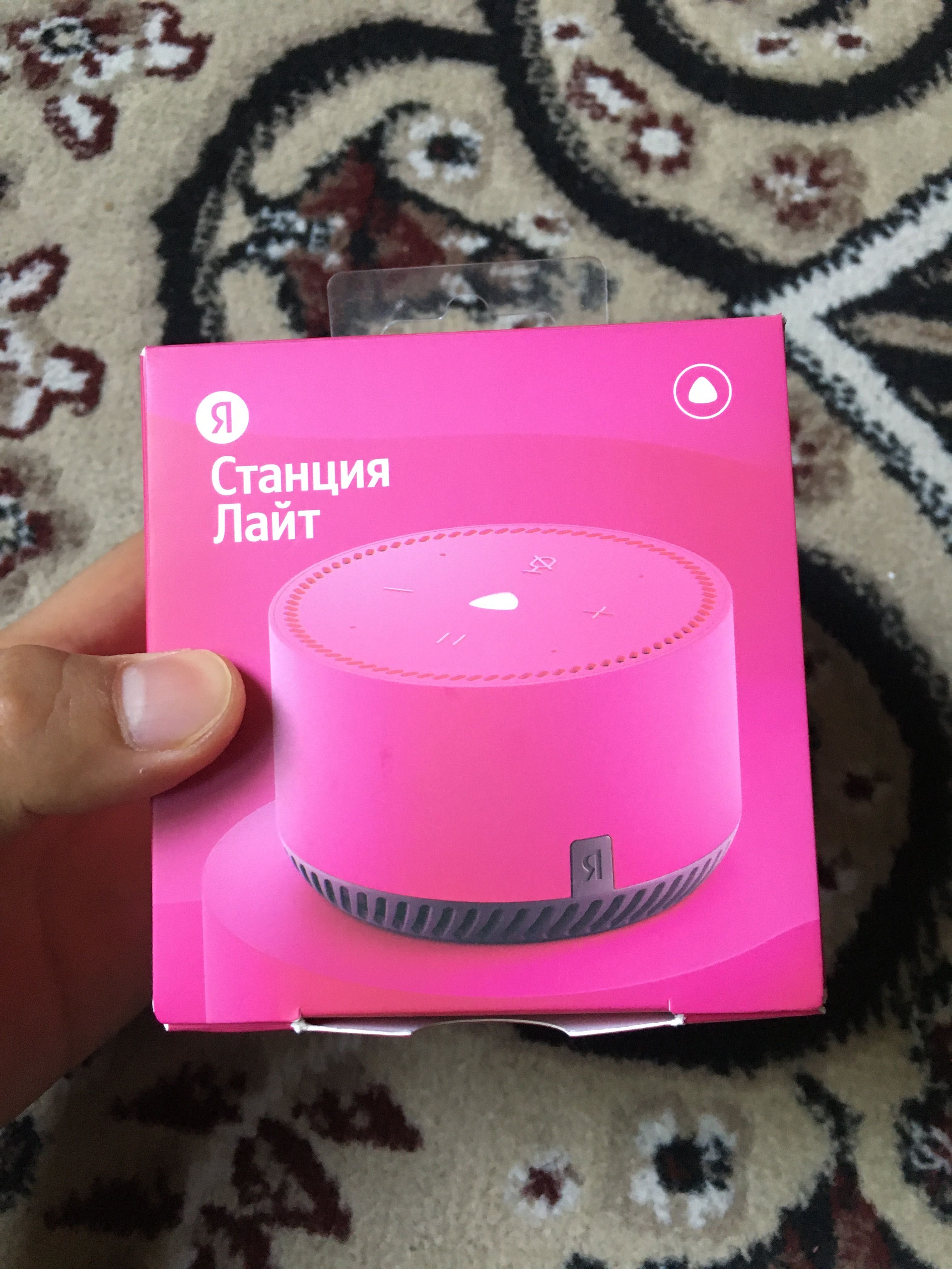 Kolonka yandex yangi