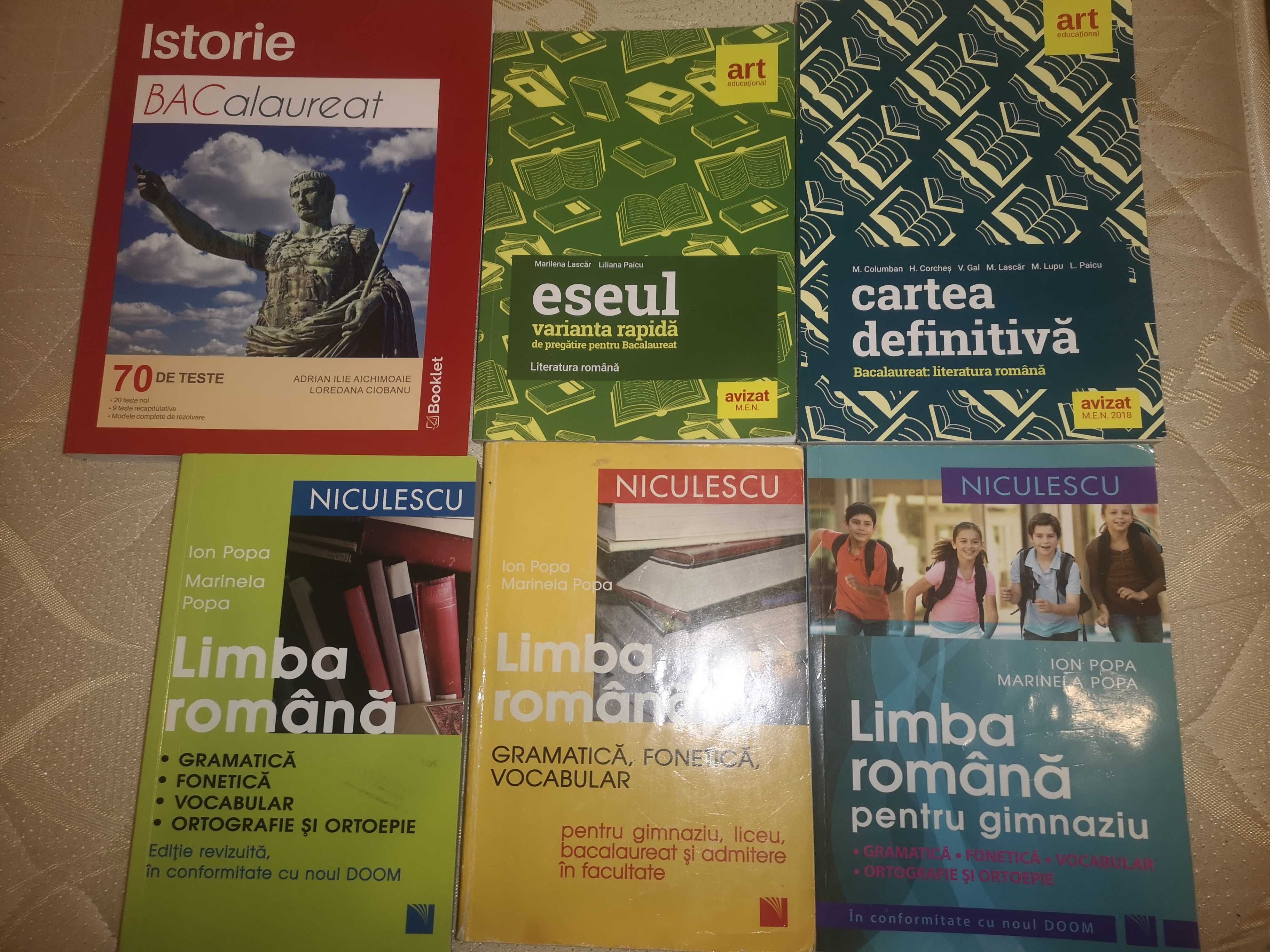 Culegeri noțiuni pentru bacalaureat  eseuri - gramatică - teste