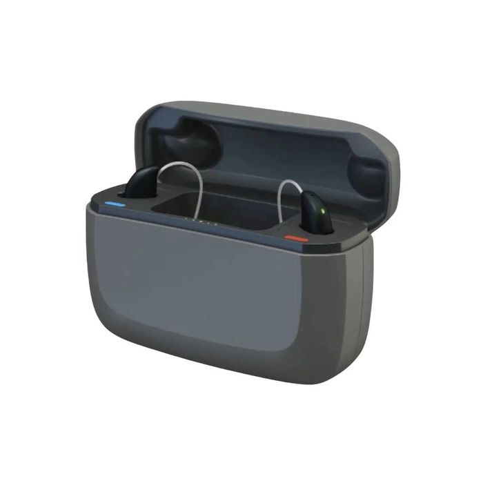 GN Resound Premium Charger