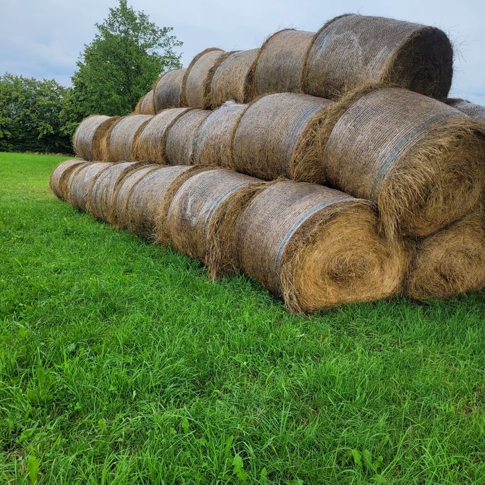 Baloti de fân rotunzi