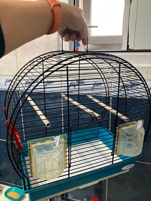 Colivie păsări mici