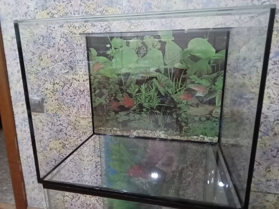 АКВАРИУМ 45 Литров продам!!!