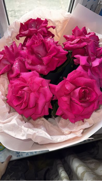 Свежие ароматные розы