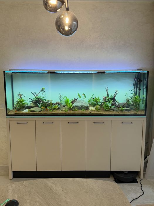 Поддръжка и изработка на аквариуми  Аква Кеър