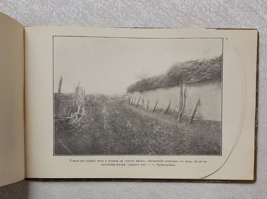 Дали - Ормана в картини. Фотографически снимки