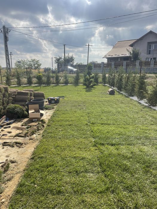 Gazon rulou supersport