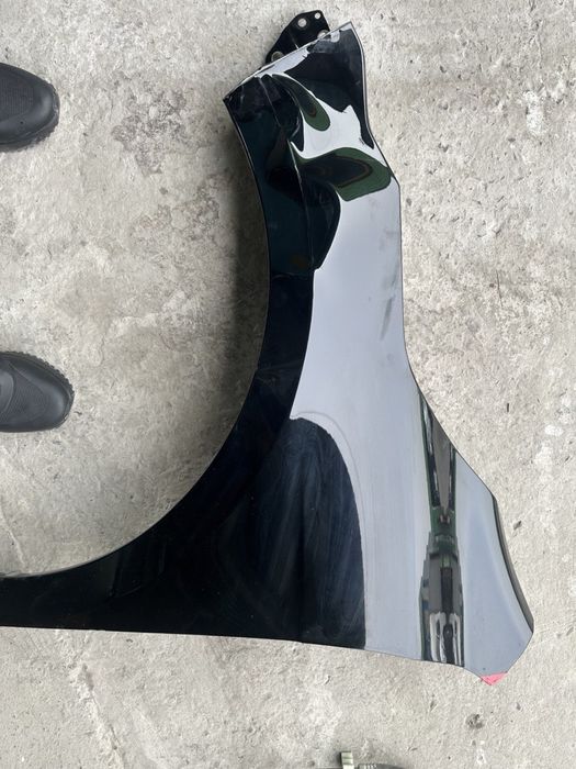 Byd chazor chap krilo