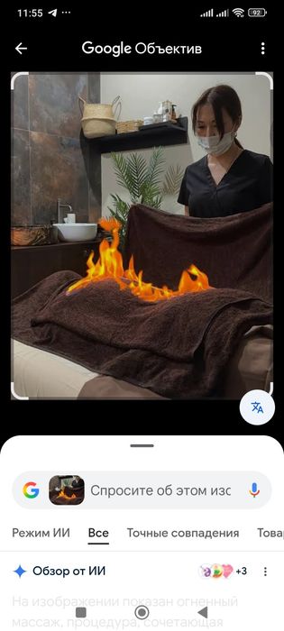 Хижама ва Оловли терапия