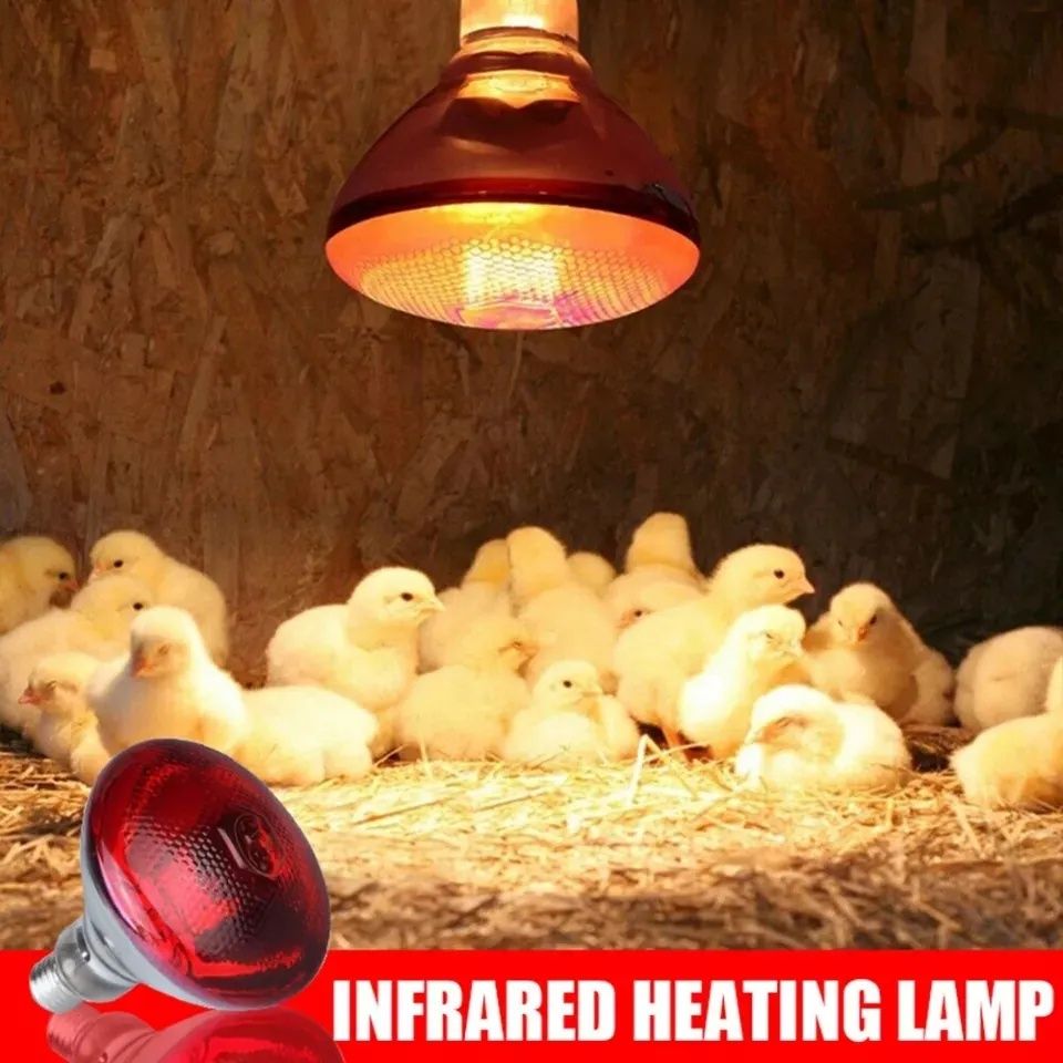 Инфракрасная лампа для обогрева цыплят бройлер несушка утята кур бруде