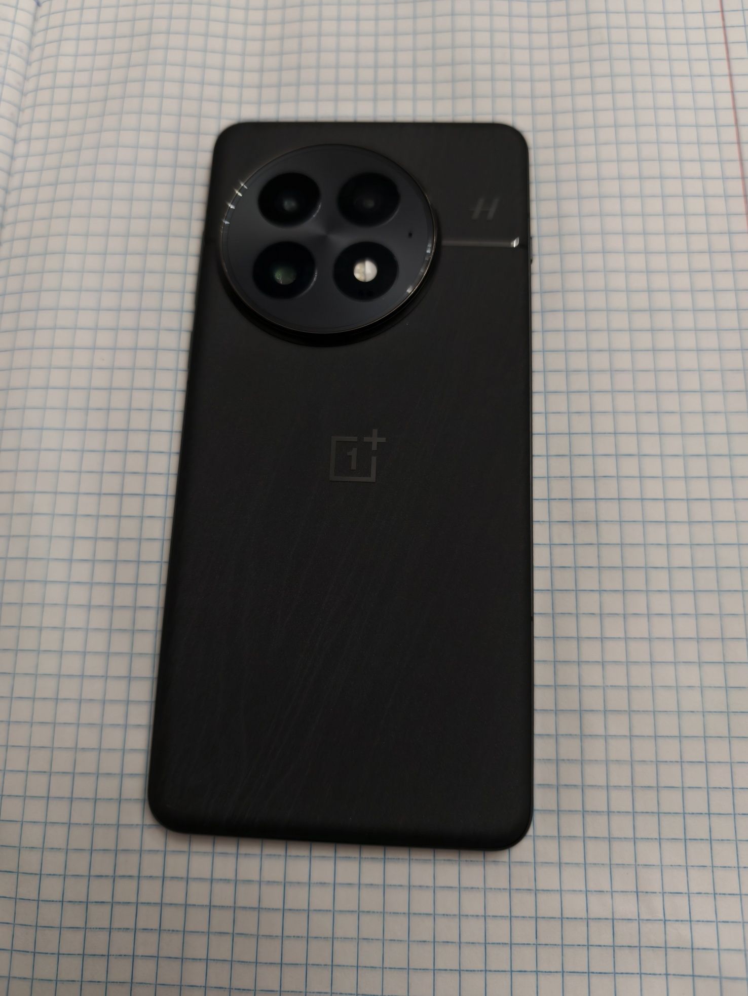 Oneplus 13 12/256