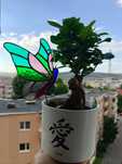 Accesoriu decorativ pentru plante – fluture din sticlă