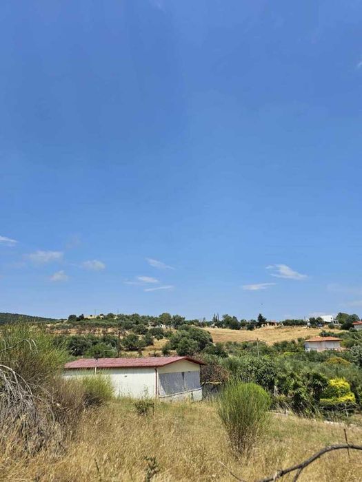 Самотоятелна къща в голям парцел